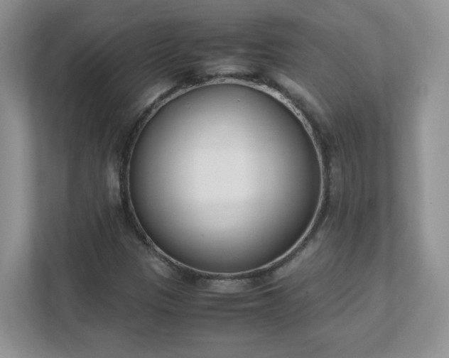 X0000111531305200907211236