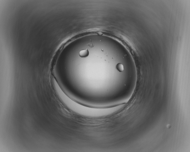 X0000111531308200907211236