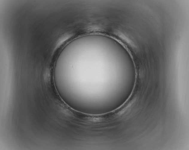 X0000111531309200907211236