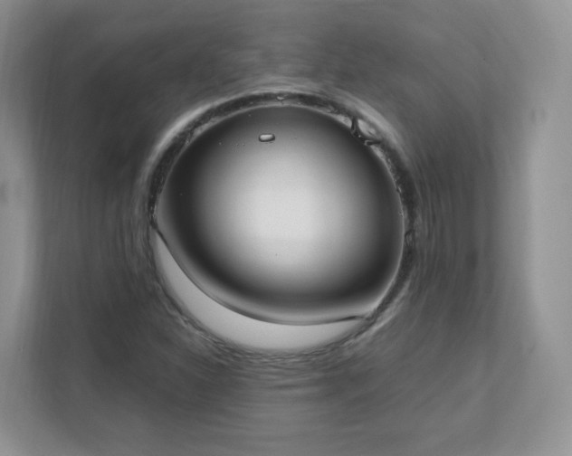 X0000111531310200907211236