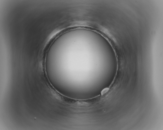 X0000111531312200907211236