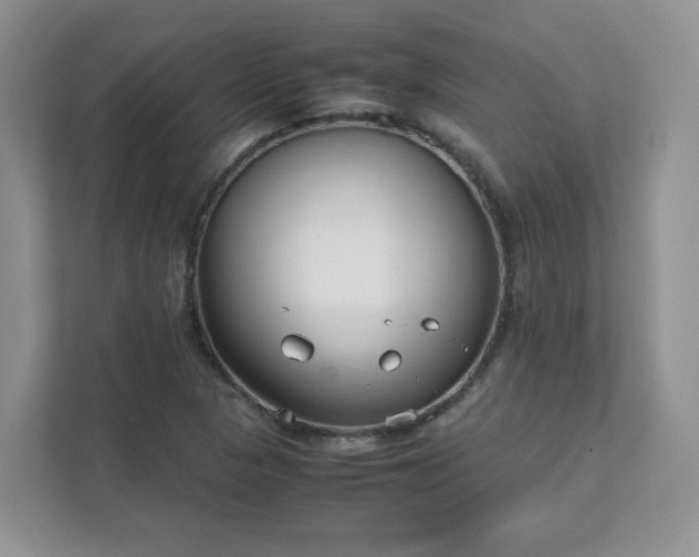 X0000111531313200907211236