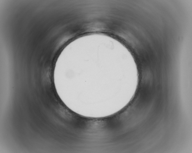 X0000111531314200907211236