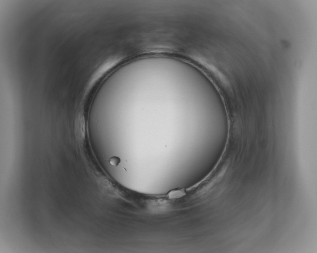 X0000111531317200907211236