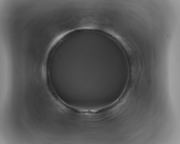 X0000111531319200907211236