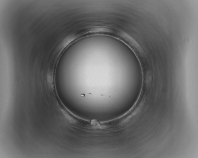 X0000111531321200907211236