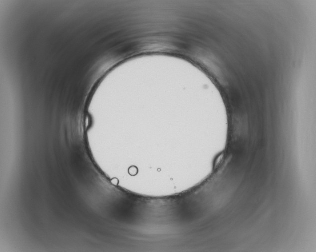 X0000111531322200907211236