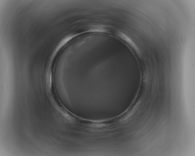 X0000111531323200907211236