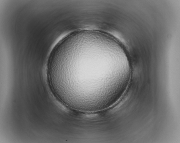 X0000111531325200907211236