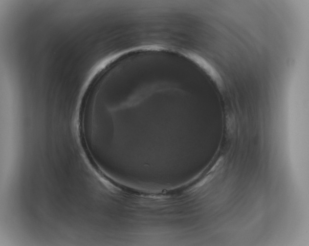 X0000111531327200907211236