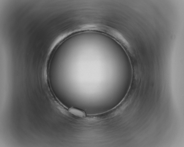 X0000111531328200907211236