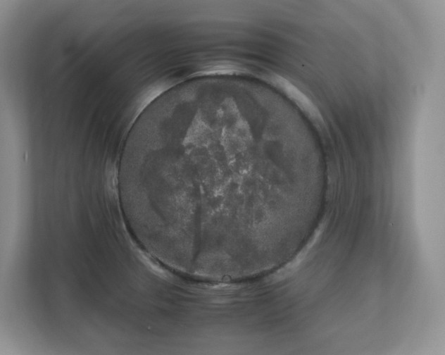 X0000111531329200907211236