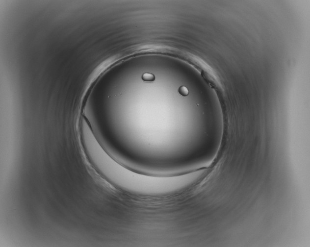 X0000111531330200907211236