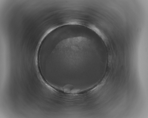 X0000111531331200907211236