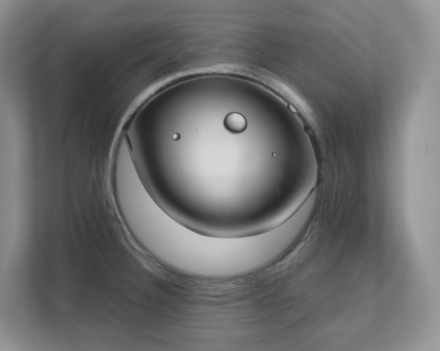 X0000111531332200907211236