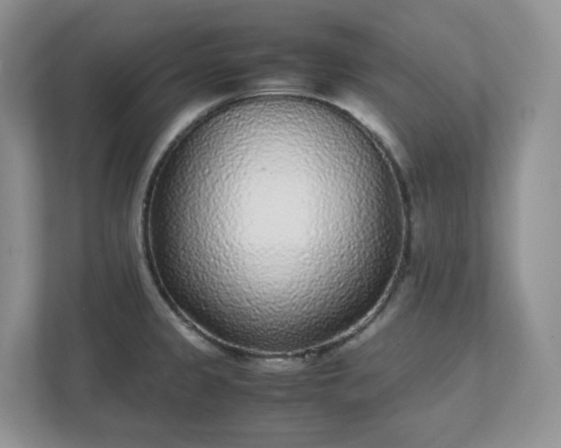 X0000111531333200907211236