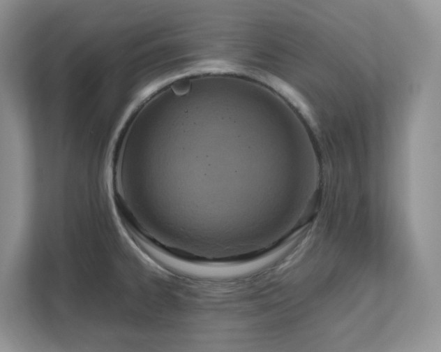 X0000111531334200907211236