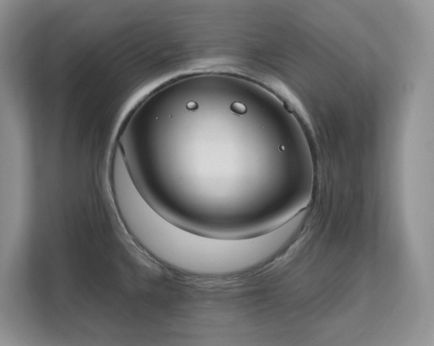 X0000111531336200907211236