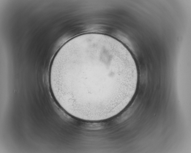 X0000111531338200907211236