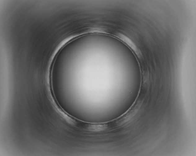 X0000111531339200907211236