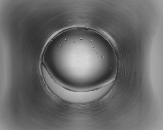 X0000111531340200907211236