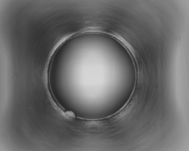 X0000111531341200907211236