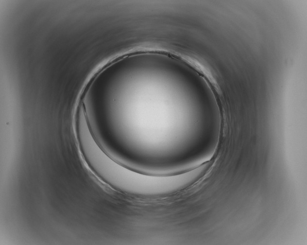 X0000111531342200907211236