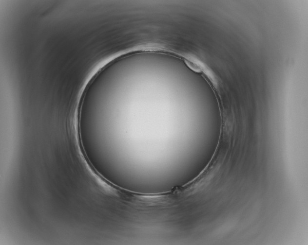 X0000111531343200907211236