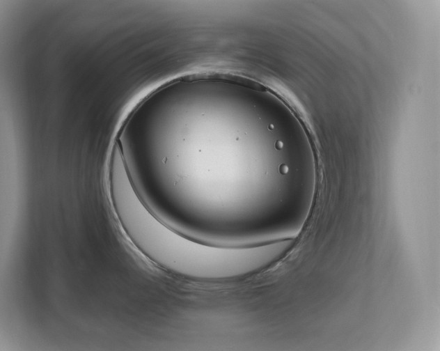 X0000111531344200907211236