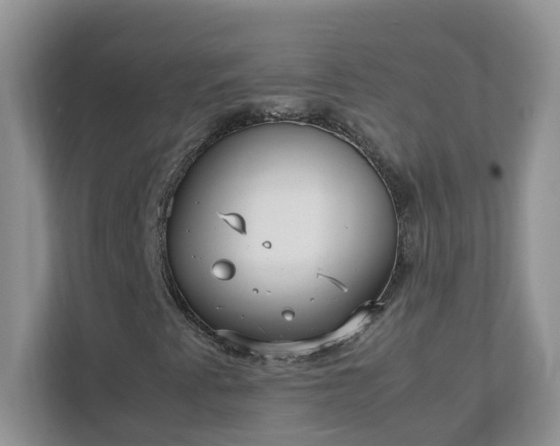 X0000111531345200907211236