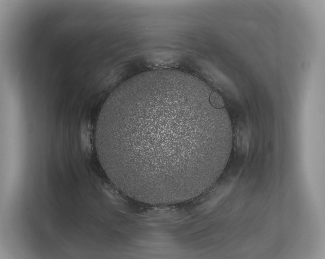 X0000111531346200907211236