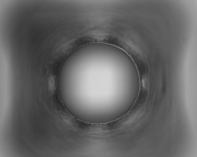 X0000111531347200907211236