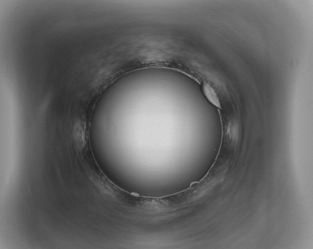 X0000111531348200907211236