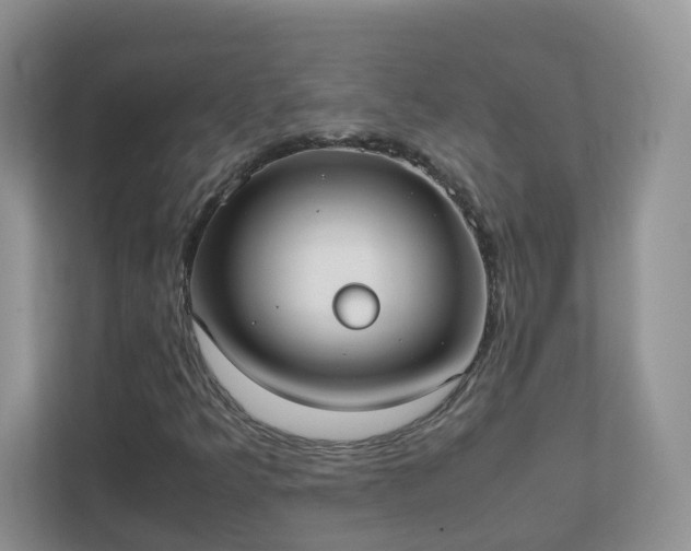 X0000111531349200907211236