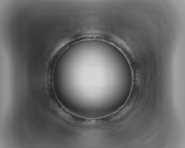 X0000111531352200907211236