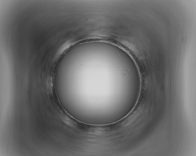 X0000111531355200907211236