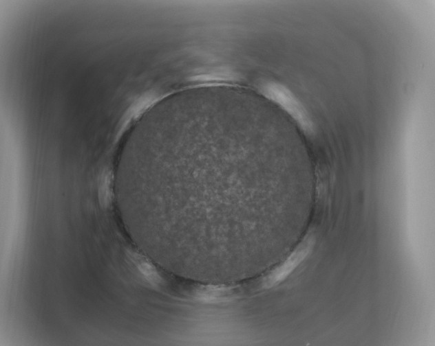 X0000111531357200907211236