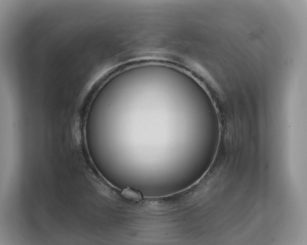 X0000111531360200907211236