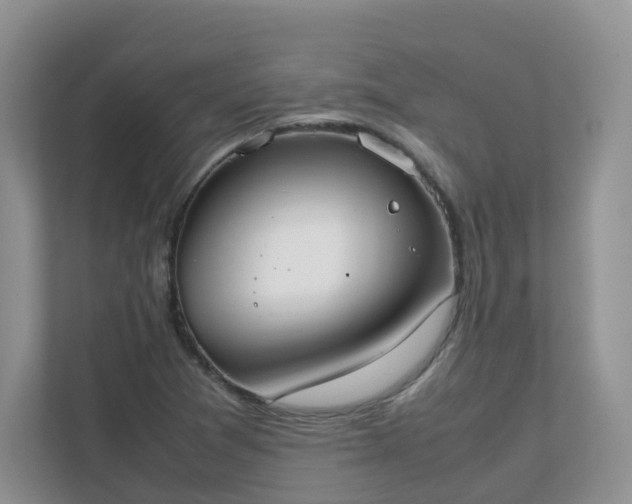 X0000111531361200907211236