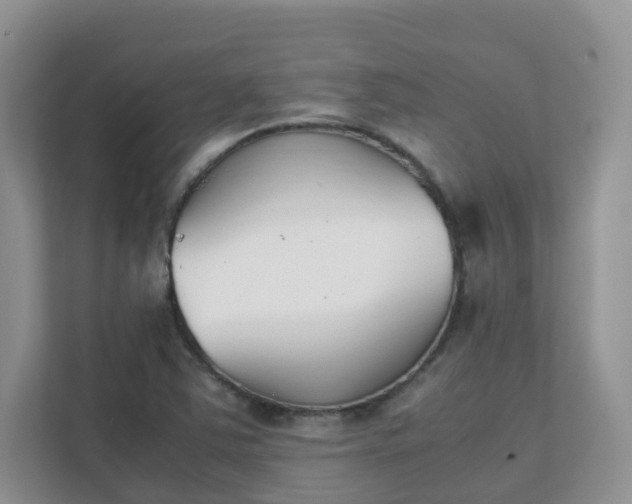 X0000111531363200907211236