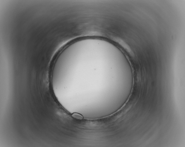 X0000111531364200907211236