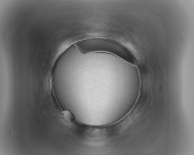 X0000111531365200907211236