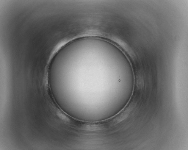 X0000111531366200907211236