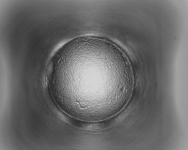 X0000111531367200907211236