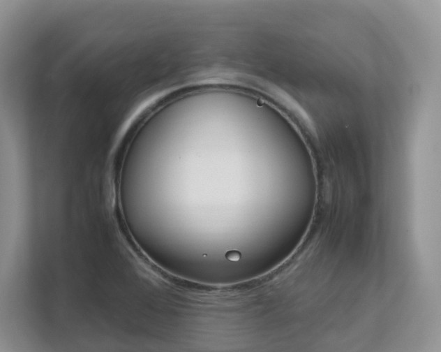 X0000111531368200907211236