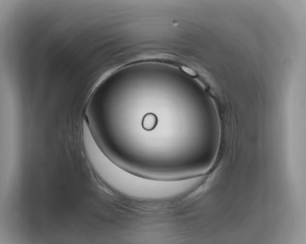 X0000111531369200907211236