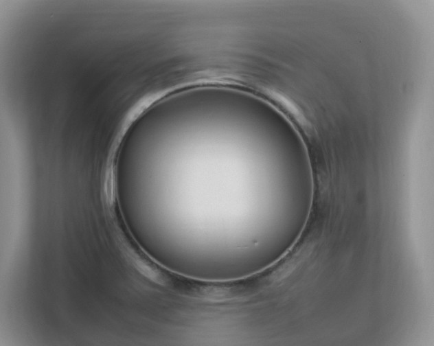 X0000111531371200907211236