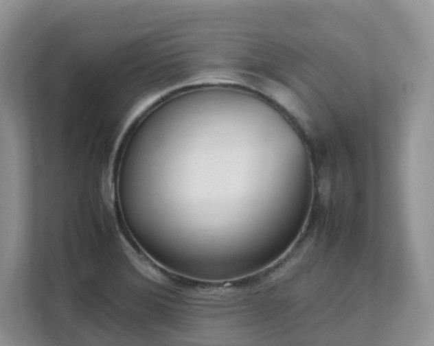 X0000111531372200907211236