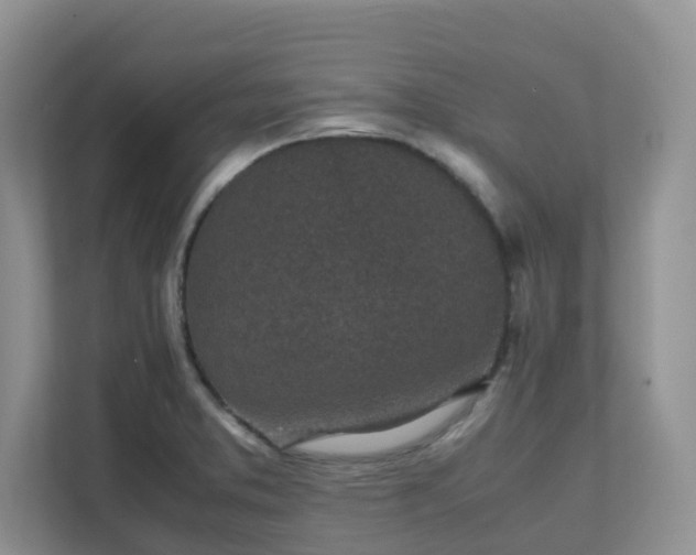 X0000111531373200907211235