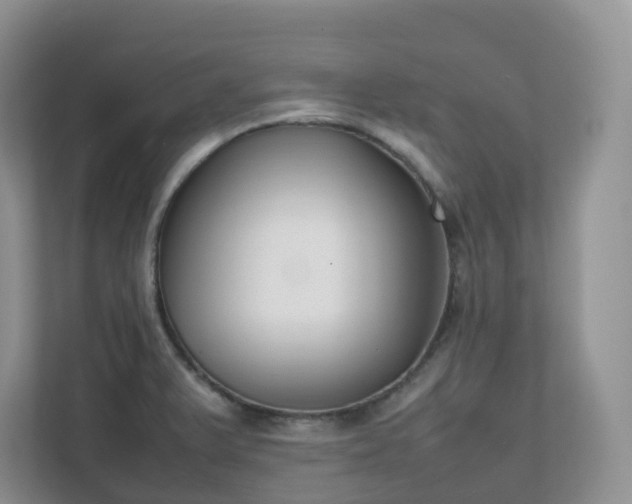 X0000111531375200907211235